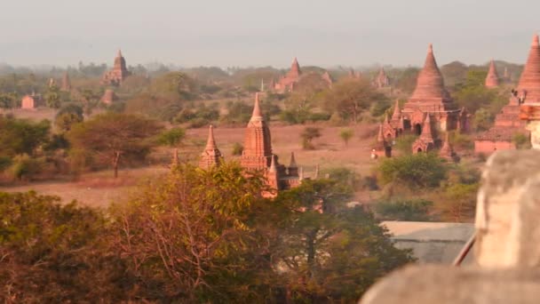 Bagan of Myanmar Pagodas päivällä panoraama nukke ammuttu havainto
 - Materiaali, video