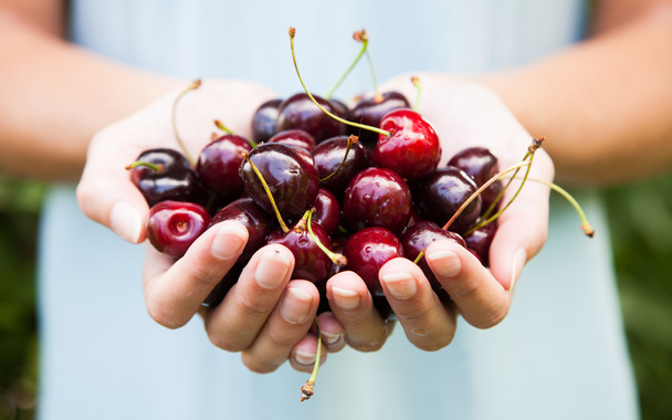 Handful of cherries - Zdjęcie, obraz