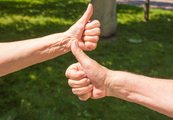 Senior woman and nan showing thumbs up in the park - Φωτογραφία, εικόνα