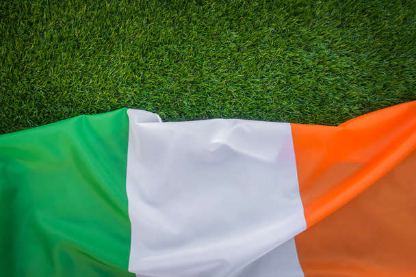 Flags of Republic of Ireland on green grass . - Fotoğraf, Görsel