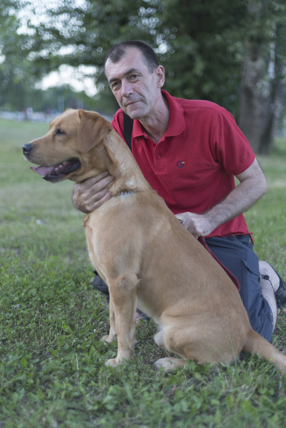 Homme avec Labrador
 - Photo, image
