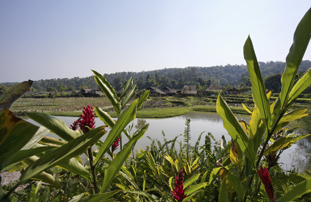 Thailand, chiang mai, Blick auf das karen long neck hill tribe village - Foto, Bild
