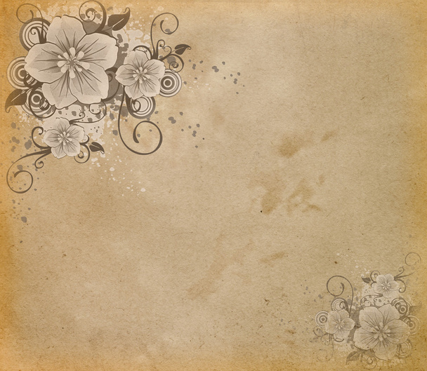 Grunge paper with flowers. - Foto, immagini