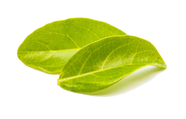 Liście zielonej herbaty izolowane  - Zdjęcie, obraz