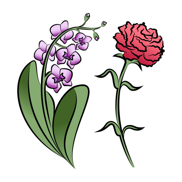 Set of two outlined flowers. Orchid and carnation - ベクター画像