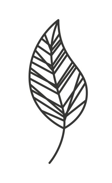 nature leaf  isolated icon design - Vector, Image