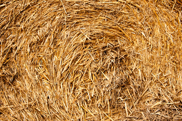Bales of straw background - Photo, Image