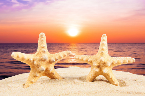 Summer concept.  starfish on a beach - Photo, Image