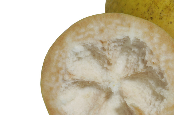 Fruta Santol sobre fondo blanco
 - Foto, Imagen