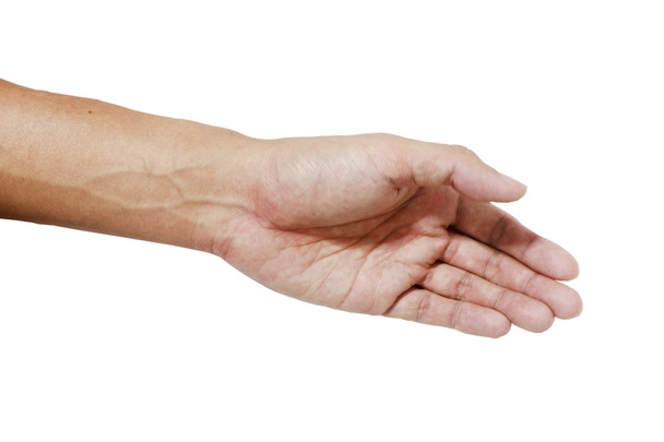  Рука і долоня азіатського кольору шкіри на білому тлі
 - Фото, зображення