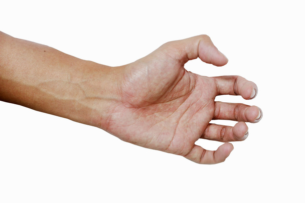  Hand und Handfläche asiatischer Hautfarbe auf weißem Hintergrund - Foto, Bild