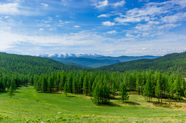 Altaj-hegység nyári - Fotó, kép