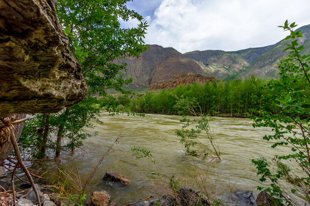 Ποτάμι βουνό Αλτάι - Φωτογραφία, εικόνα