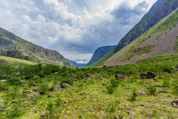V pohoří Altaj - Fotografie, Obrázek