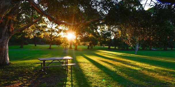 Gyönyörű park Sydney-ben. - Fotó, kép