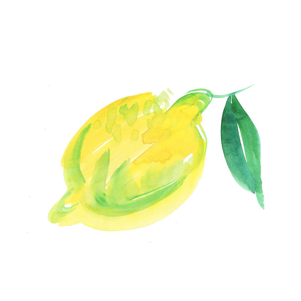 watercolor lemon illustration on  white background - Photo, image