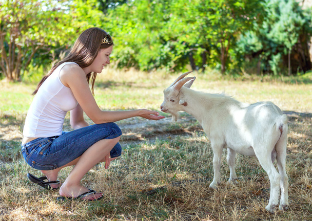 Young girl feeding a small white goat in a grove. - Foto, imagen