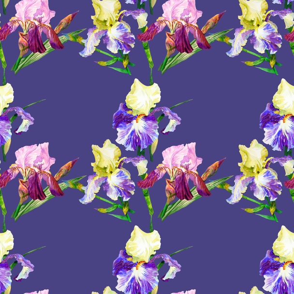Seamless pattern with colored irises - Foto, Imagem