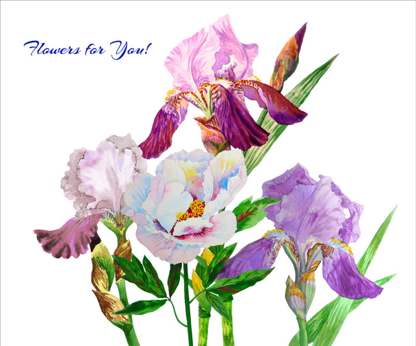 Colored irises. Watercolor flowers - Foto, Imagem