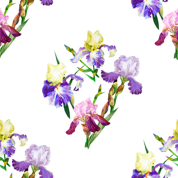 Seamless pattern with colored irises - Fotó, kép