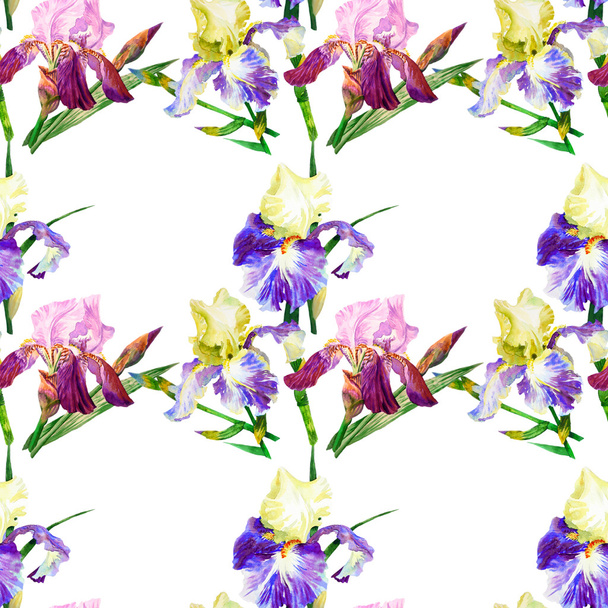 Seamless pattern with colored irises - Foto, imagen