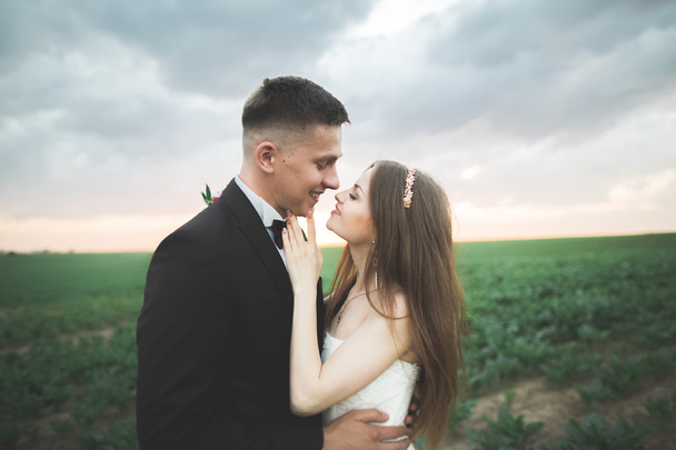 Beautiful wedding couple, love on the sunset. Fielf with flowers - Foto, Imagem