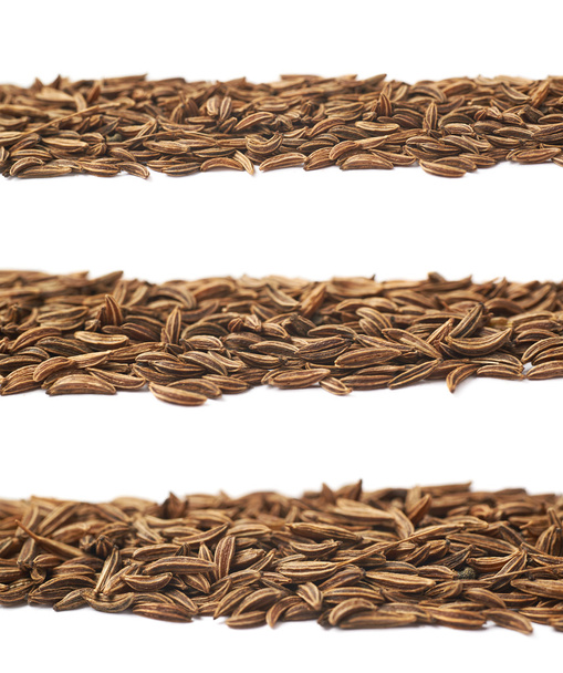 Line of cumin seeds isolated - Fotografie, Obrázek