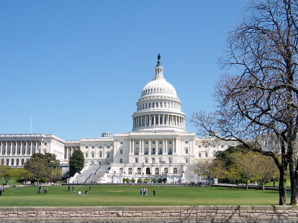 Центральная часть здания Капитолия Вашингтона 2010
 - Фото, изображение