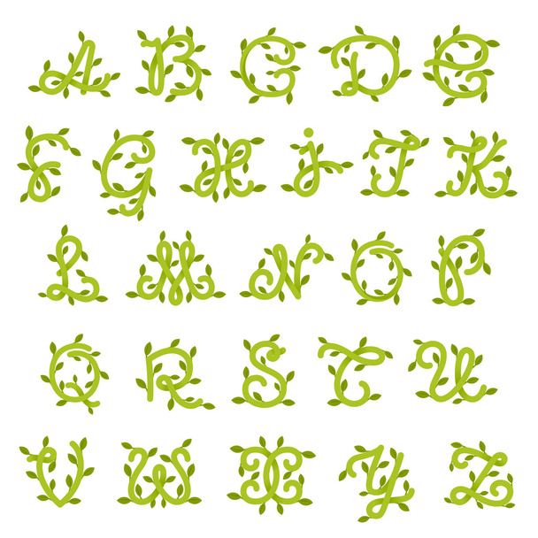 Alfabeto ecológico con hojas verdes
.  - Vector, Imagen