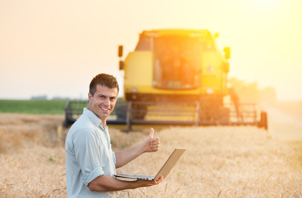 Agricultural engineer on wheat harvest - Φωτογραφία, εικόνα
