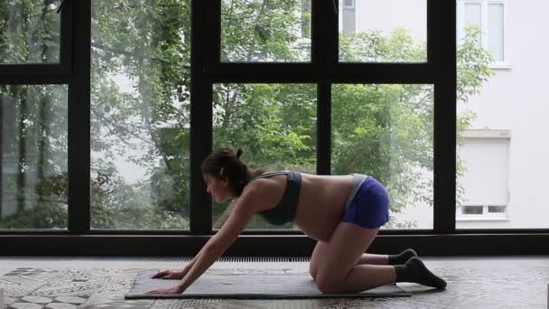 Sport pregnant woman does pose cat - Footage, Video
