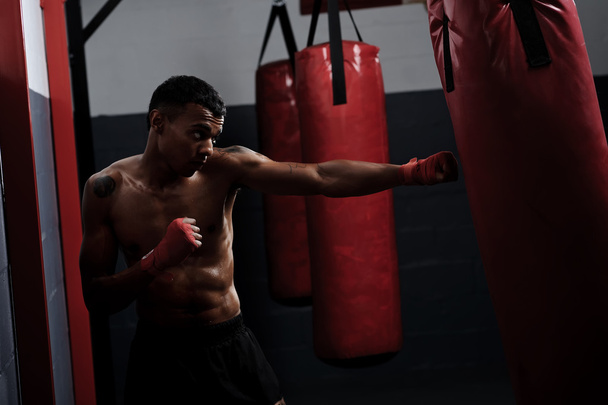 Fight training - Valokuva, kuva