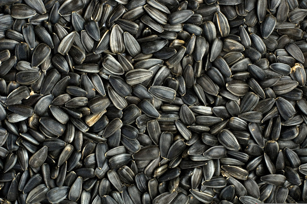 Black seeds - Фото, изображение