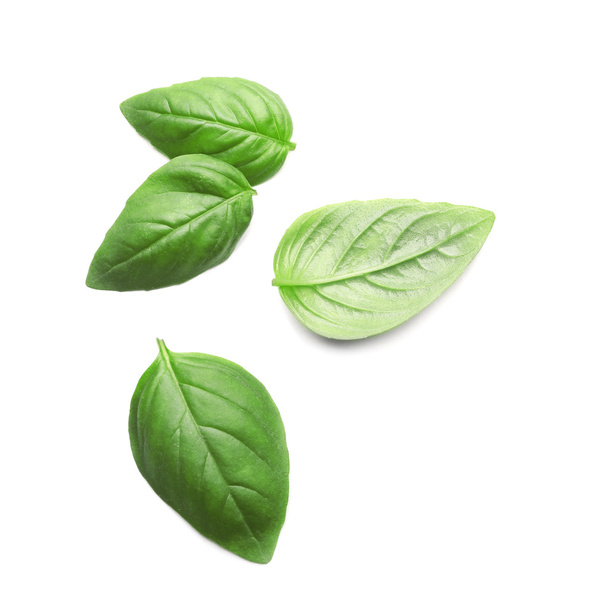 Basil leaves, isolated  - Foto, afbeelding
