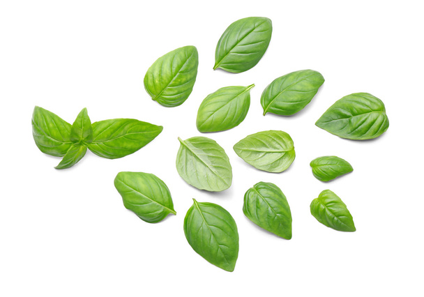 Basil leaves, isolated  - Foto, afbeelding