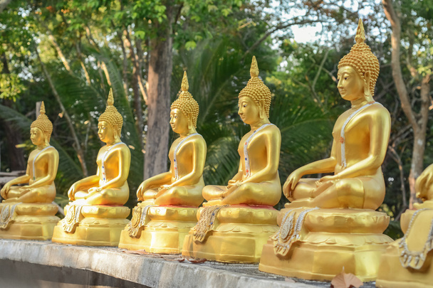 Goldene Buddha-Statuen - Foto, Bild