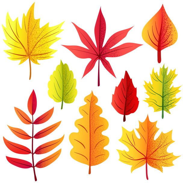 Autumn retro leaves set - Vector, afbeelding