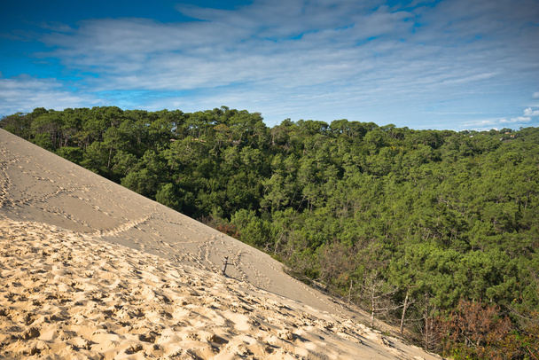  La duna más alta de Europa
 - Foto, imagen