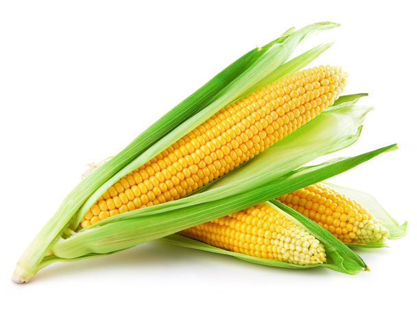 An ear of corn - Foto, Bild