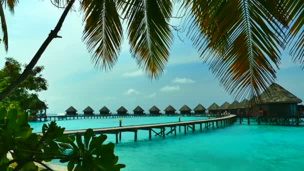 Прекрасного острова Мальдіви з океаном - Кадри, відео