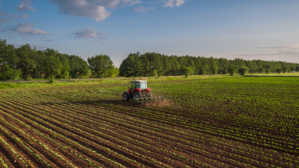 Campo de cultivo del tractor en primavera - Foto, imagen
