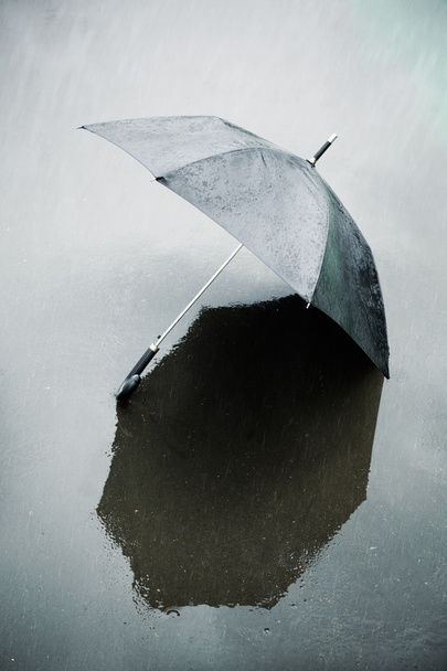 Rain and wet umbrella - 写真・画像
