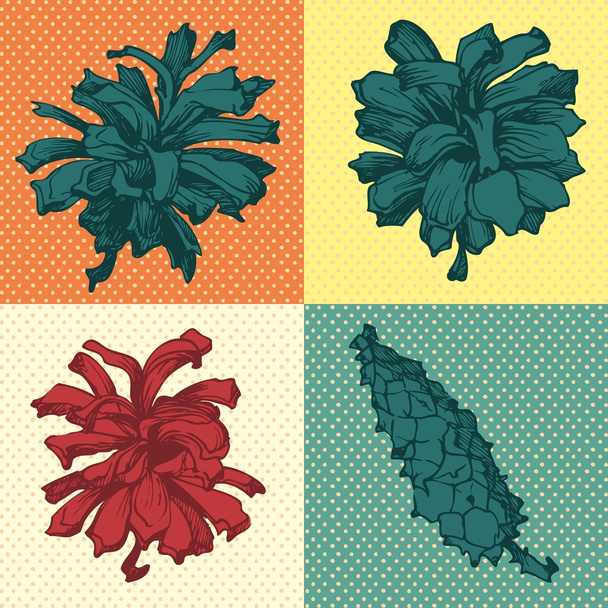 Set of spruce and pine cones - Вектор,изображение