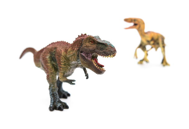 tyrannosaure et vélociraptor sur fond blanc
 - Photo, image
