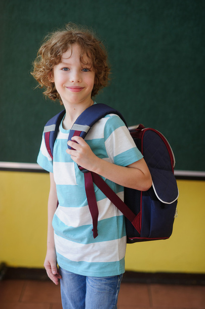 The schoolboy stands in the class near a board. - Foto, Imagen