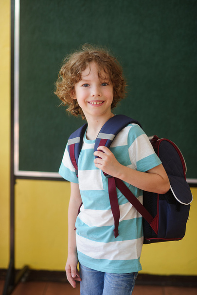 Schoolboy stands in the class near a board. - Φωτογραφία, εικόνα