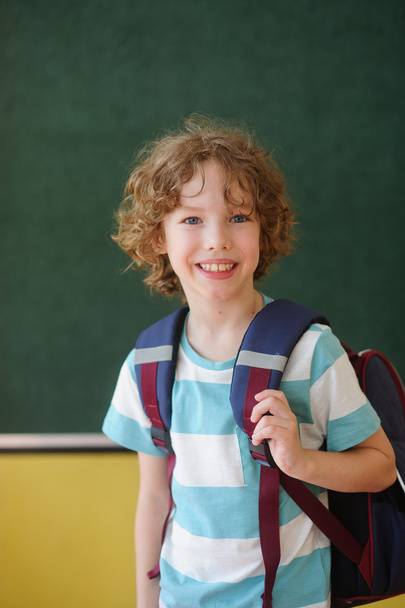 Nice schoolchild stands in the class near a blackboard. - Foto, afbeelding