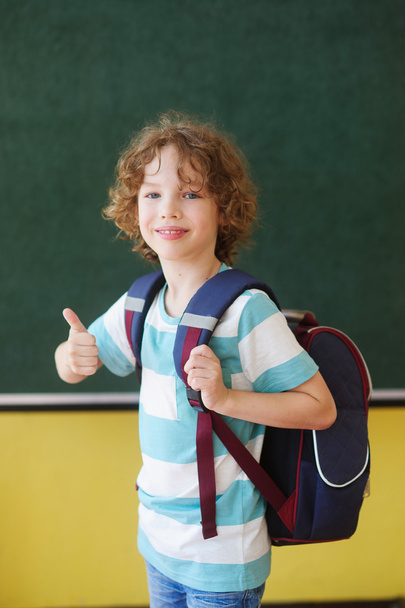 The cheerful pupil stands near a board in class. - Foto, Imagem