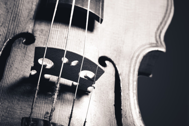 monochrome image of hand crafted violin closeup - Fotó, kép