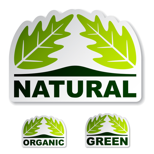 natural leaf stickers - Wektor, obraz